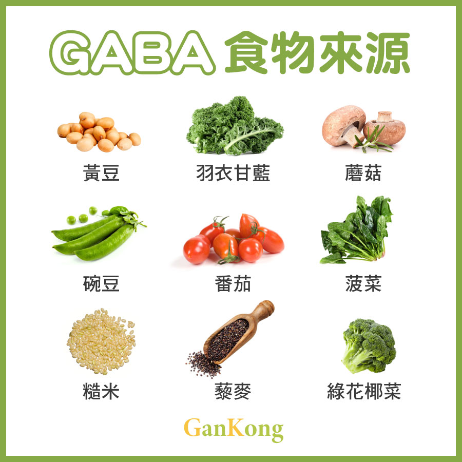 GABA食物來源助眠保健食品