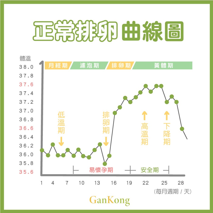 基礎體溫懶人包 精準抓測排卵日做功課 Gk健康網