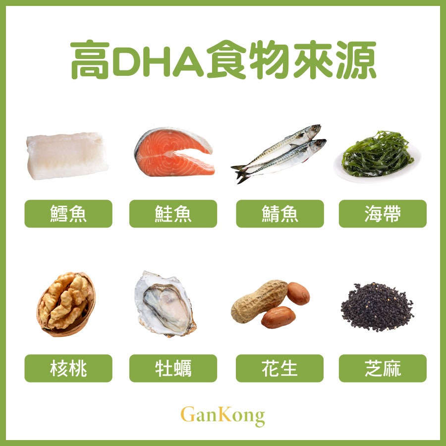 高DHA食物來源推薦
