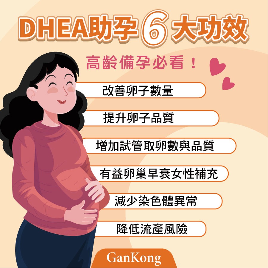 DHEA助孕6大功效，高齡備孕必看